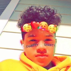 Meet your Posher, Peter